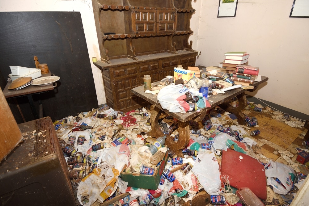 Hoarding: salle à manger insalubre, encombrée de canettes Hoarding extrême. Salle jonchée de canettes, papiers et déchets. Une table en bois rustique supporte livres et ordures devant un buffet ancien.
