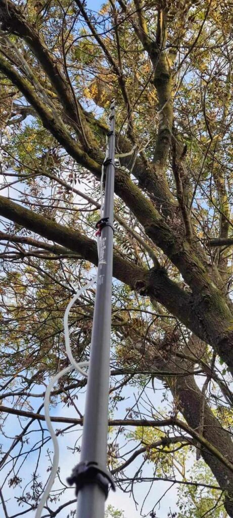 destruction frelon asiatique rognac 2