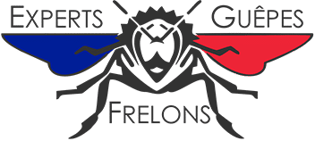 expert-guepe-frelon-chenille-retina